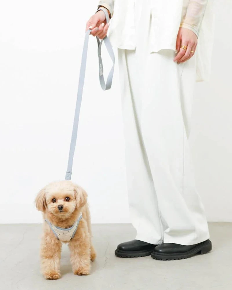 MONCHERI Padded Ice Cream Cone Dog Harness + Lead Set 8 MONCHERI Padded Ice Cream Cone Dog Harness + Lead Set - Image 8