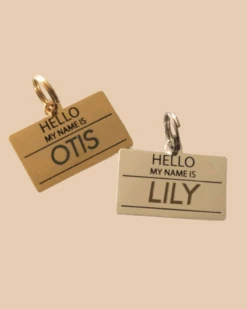 TWO TAILS PET COMPANY Hello, My Name Is ID Tag (Custom/Drop-Ship)
