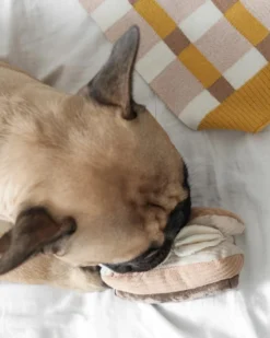 LAMBWOLF COLLECTIVE Eclair Enrichment Dog Toy -Pet Sale Shop 44 0d255903 31aa 489a acc3 c991e8e73daf