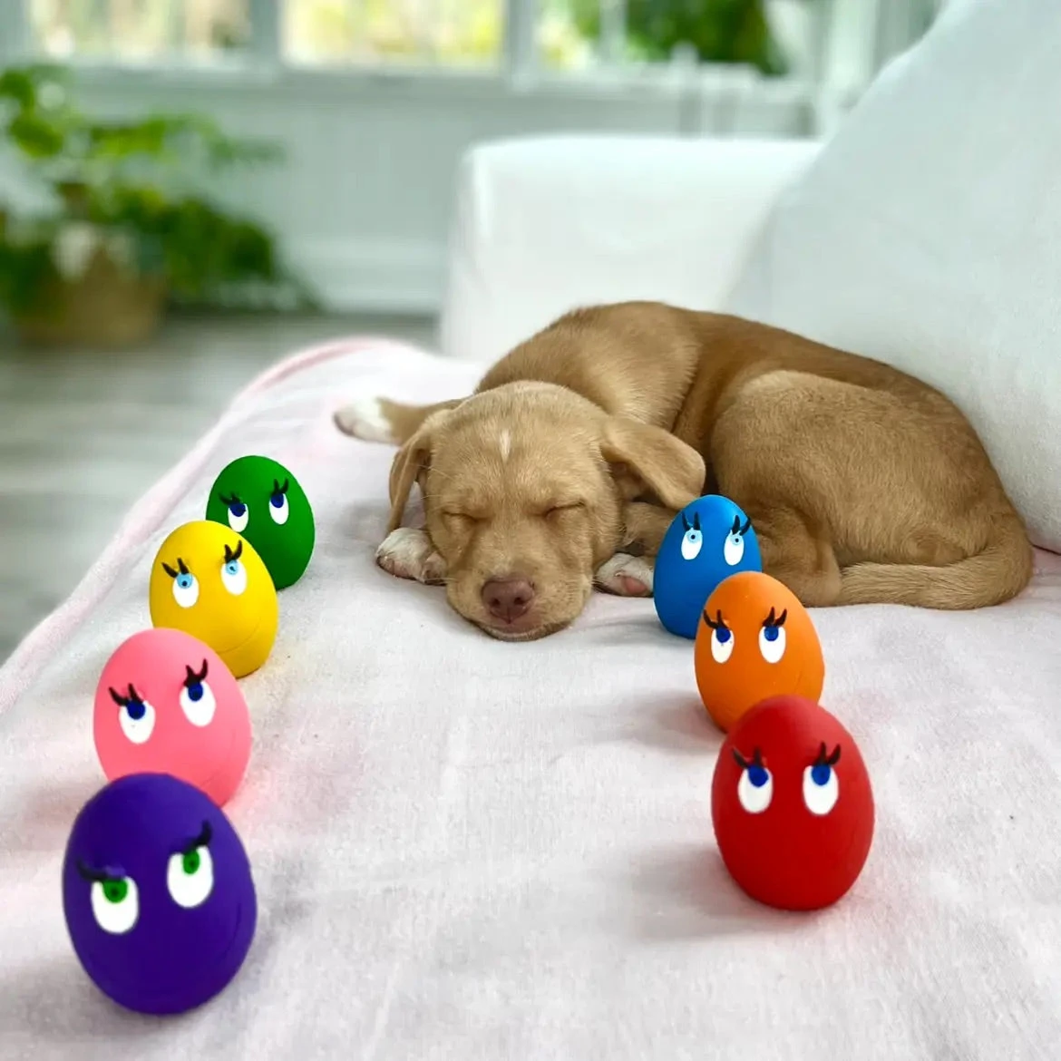 LANCO TOYS Squeaky Egg Dog Toy 4 LANCO TOYS Squeaky Egg Dog Toy - Image 4