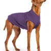GOLD PAW Stretch Fleece Dog Pullover In Huckleberry