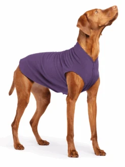 GOLD PAW Stretch Fleece Dog Pullover In Huckleberry
