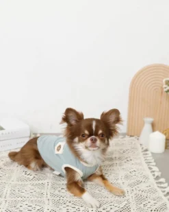 MONCHERI Donut Tank For Dogs (Cooling Fabric) 7 MONCHERI Donut Tank For Dogs (Cooling Fabric) -Pet Sale Shop 49 0d8865e7 b77b 440a 830e 0dc8a32b72dc