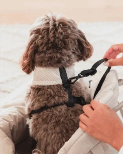 FUZZYARD Multipurpose Carrier & Car Seat 19 FUZZYARD Multipurpose Carrier & Car Seat -Pet Sale Shop 4 093979af 5425 47f6 b9af 3d5fe90cccde