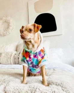 SHANNA'S TIE DYE Tie Dye Dog Hoodie In Rainbow -Pet Sale Shop 4 0c7ecc69 c570 497c 83a6 ed5421d7e0ee