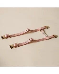 Bloire Meadow Matching Cat Harness & Leash Set -Pet Sale Shop 4 1bb808a9 5c4d 49c0 8587 64290a2a6eac