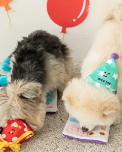 BITE ME Party Hat Nosework Dog Toy Set -Pet Sale Shop 4 2fbd2d77 e351 450b b7ae 43959e7be659