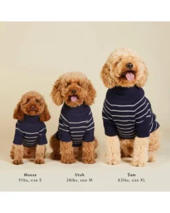 THE FOGGY DOG Mariner Stripe Dog Sweater -Pet Sale Shop 4 336aa29d a241 44e3 905c 1455019435da
