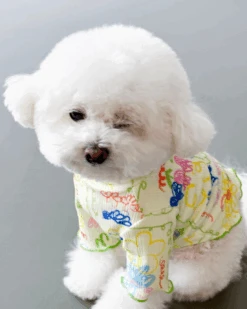 COTE A COTE Garden Lettuce Dog T-Shirt 15 COTE A COTE Garden Lettuce Dog T-Shirt -Pet Sale Shop 4 3624f01d 069f 4a52 8777 0ebd6ef0debd