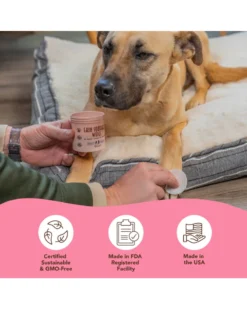 NATURAL DOG COMPANY Skin Soother Dog Wipes -Pet Sale Shop 4 46dcf00e b78b 4686 b45e d7f749a61017