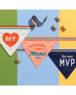 BRASS MONKEY BFF Dog Bandana -Pet Sale Shop 4 4cf54be9 a074 4a94 9059 ff22e03876cc