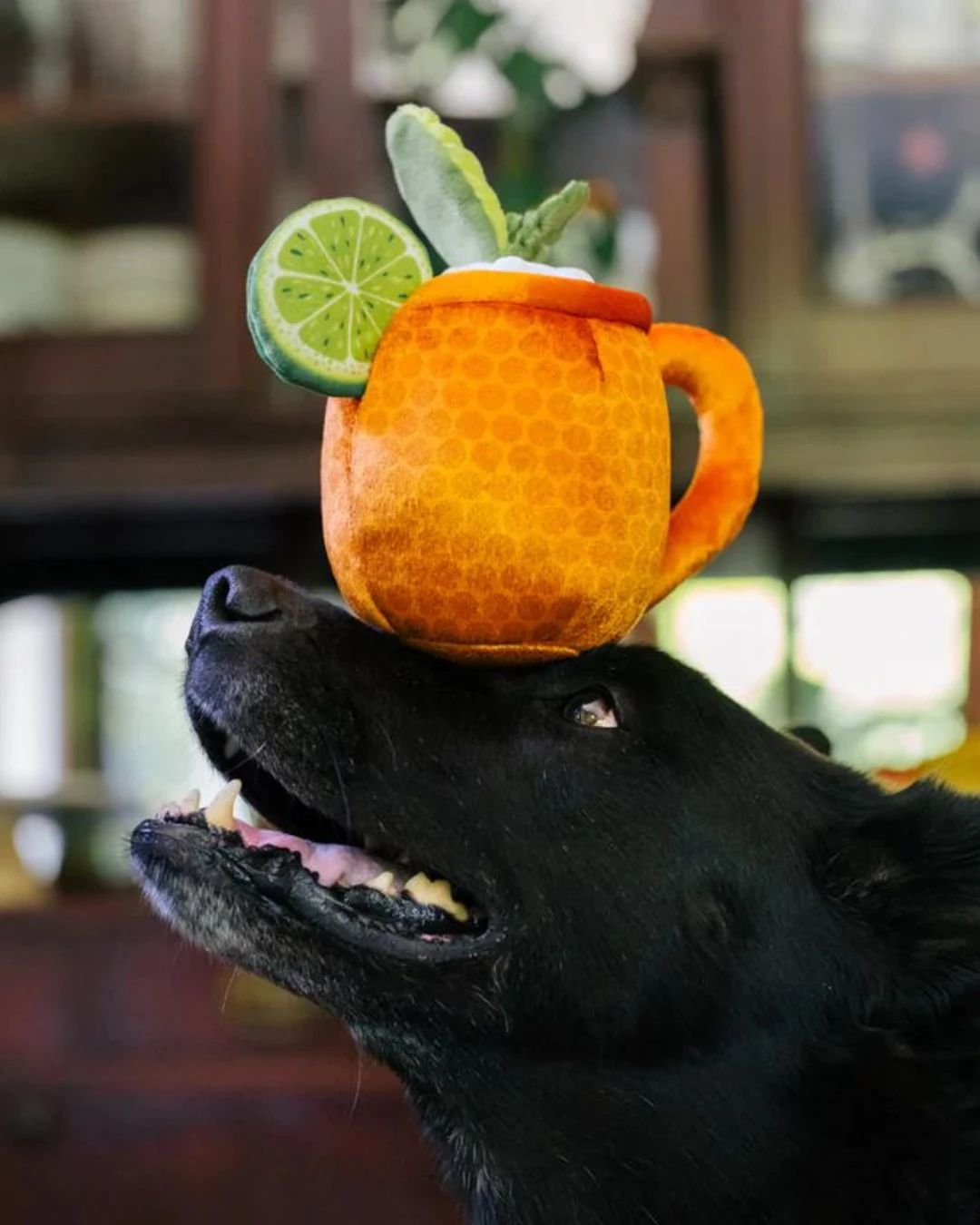 P.L.A.Y. Mospaw Mule Squeaky Plush Dog Toy 2 P.L.A.Y. Mospaw Mule Squeaky Plush Dog Toy - Image 2