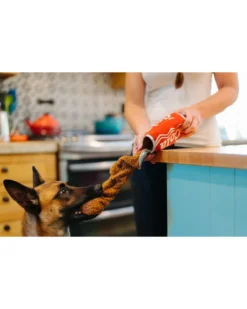 P.L.A.Y. Good Boy Soda Cola Dog Toy -Pet Sale Shop 4 5fbfff5c 022f 47d1 96b7 63e36b4e4fd9