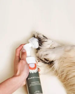 DANDYLION Clean Paws No-Rinse Foaming Cleanser For Dogs (Vegan & Cruelty Free) 5 DANDYLION Clean Paws No-Rinse Foaming Cleanser For Dogs (Vegan & Cruelty Free) -Pet Sale Shop 4 6ccb256f cf16 4e3a 96a5 8e9a6174e0a9