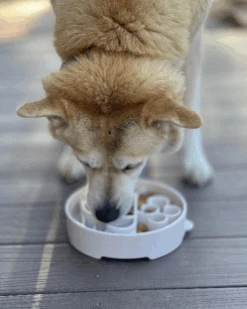 SODA PUP Java Slow Feeder Dog Bowl (Made In The USA) 7 SODA PUP Java Slow Feeder Dog Bowl (Made In The USA) -Pet Sale Shop 4 749f2890 3860 48ca a3ea da1517ada8b6