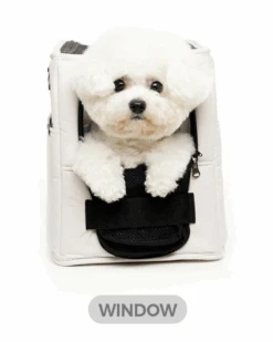 SSOOOK Adjustable Strap Dog Carrier Bag In Black 14 SSOOOK Adjustable Strap Dog Carrier Bag In Black -Pet Sale Shop 4 8ac4c399 f842 449c b5fa 22478d9198fd