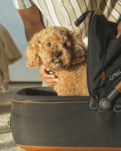 TAVO PET Maeve™ + Roscoe™ 3-in-1 Pet Stroller & Car Seat -Pet Sale Shop 4 9390d775 ead0 4aed aa4e 9deaaabd8c9b