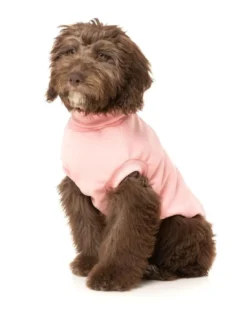 FUZZYARD Stevie Dog Turtleneck In Pink (FINAL SALE) -Pet Sale Shop 4 94386724 fcfe 4f17 b891 27383f9d0093