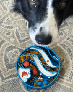 SODA PUP Wave Slow Feeder Dog Bowl (Made In The USA) -Pet Sale Shop 4 954fdbc6 300a 4454 957b 81763512f88f