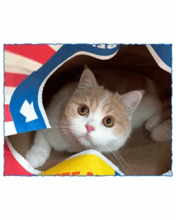 BITE ME Popcorn Paper Bag Cat Cave Toy -Pet Sale Shop 4 96d3bb3d 024b 41d6 bf6d a70f87d98899
