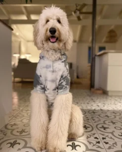 SHANNA'S TIE DYE Tie Dye Dog Hoodie In Grey & White