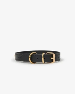 BRANNI Black Nara Leather Dog Collar With Brass Stars (Made In Italy) -Pet Sale Shop 4 9b710f74 1701 4d63 bc2a b5f9b6c57b82