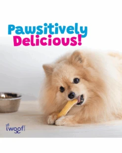 WOOF ISLAND All Natural Coconut Dog Bone Treat (2-Pack) 12 WOOF ISLAND All Natural Coconut Dog Bone Treat (2-Pack) -Pet Sale Shop 4 9f3296e0 6b03 433f ad33 f314b6aa944d