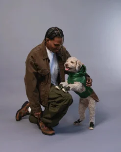 RIFRUF Caesar Dog Sneakers In Birch -Pet Sale Shop 4 9fc203de 9a14 467e 8391 3f78d22b9106