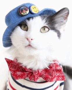 ICECREAMTREE STUDIO Denim Pet Bucket Hat (Made In The USA)