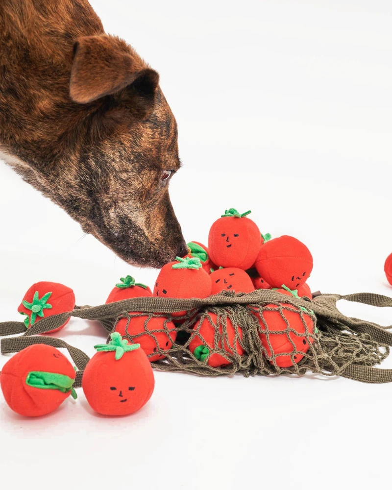 THE FURRYFOLKS Cherry Tomato Nose Work & Tug Dog Toy 8 THE FURRYFOLKS Cherry Tomato Nose Work & Tug Dog Toy - Image 8