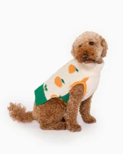 THE FURRYFOLKS Orange Dog Sweater 12 THE FURRYFOLKS Orange Dog Sweater -Pet Sale Shop 4 d2d31292 3ec1 497b 8269 8f416a484000