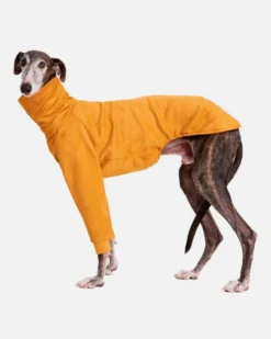 FORGALGO Long Sleeve Dog Turtleneck In Yellow (FINAL SALE) -Pet Sale Shop 4 d382b32e a2d9 454e a015 e57f685c1cf7