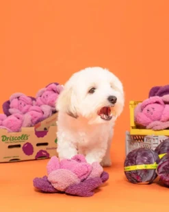 THE FURRY FOLKS Red Cabbage Nosework Dog Toy -Pet Sale Shop 4 d5c7d117 906f 48b1 8d7f db3d39a26ce5