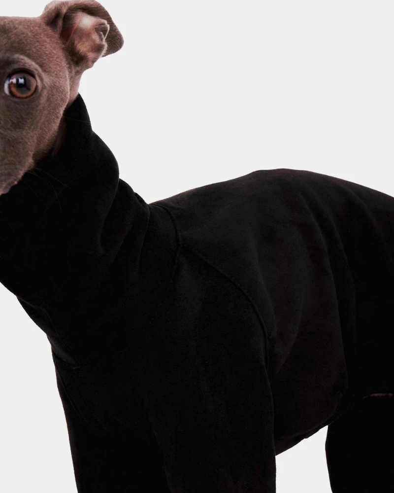 FORGALGO Dog Onesie In Black 4 FORGALGO Dog Onesie In Black - Image 4