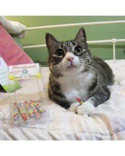 MEOWIJUANA Birthjays™ Party Sized Catnip Joints -Pet Sale Shop 51 59849236 646c 4f3a 80e0 be846cbdb64a