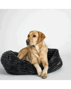 JAX & BONES Napper Dog Bed In Luna Black (Custom/Direct-Ship) (Made In The USA)