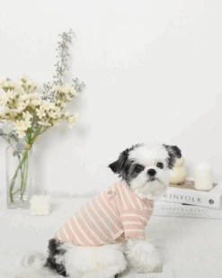 MONCHERI Ribbed Fruit Dog T-Shirts In Cherry Or Pineapple 11 MONCHERI Ribbed Fruit Dog T-Shirts In Cherry Or Pineapple -Pet Sale Shop 52 3227108a f648 4e62 88e9 8a39e955e86b