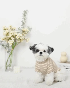 MONCHERI Ribbed Fruit Dog T-Shirts In Cherry Or Pineapple 12 MONCHERI Ribbed Fruit Dog T-Shirts In Cherry Or Pineapple -Pet Sale Shop 53 0892ef1e 0d43 4892 baeb 292f27587831