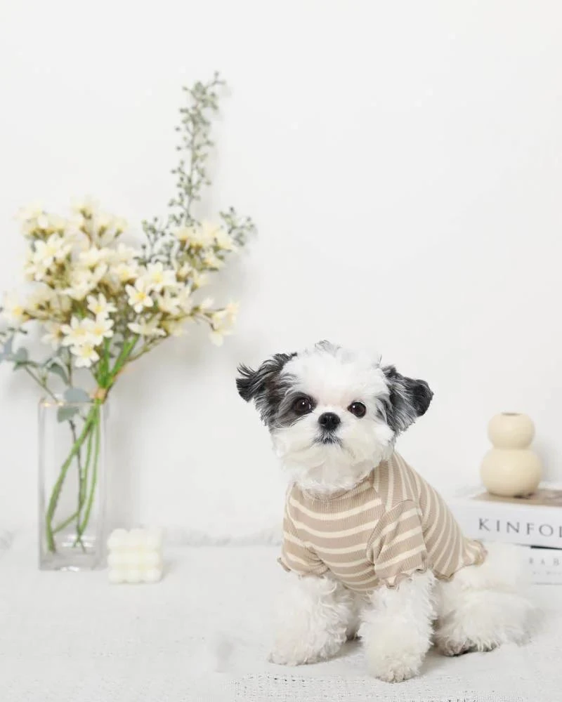 MONCHERI Ribbed Fruit Dog T-Shirts In Cherry Or Pineapple 5 MONCHERI Ribbed Fruit Dog T-Shirts In Cherry Or Pineapple - Image 5