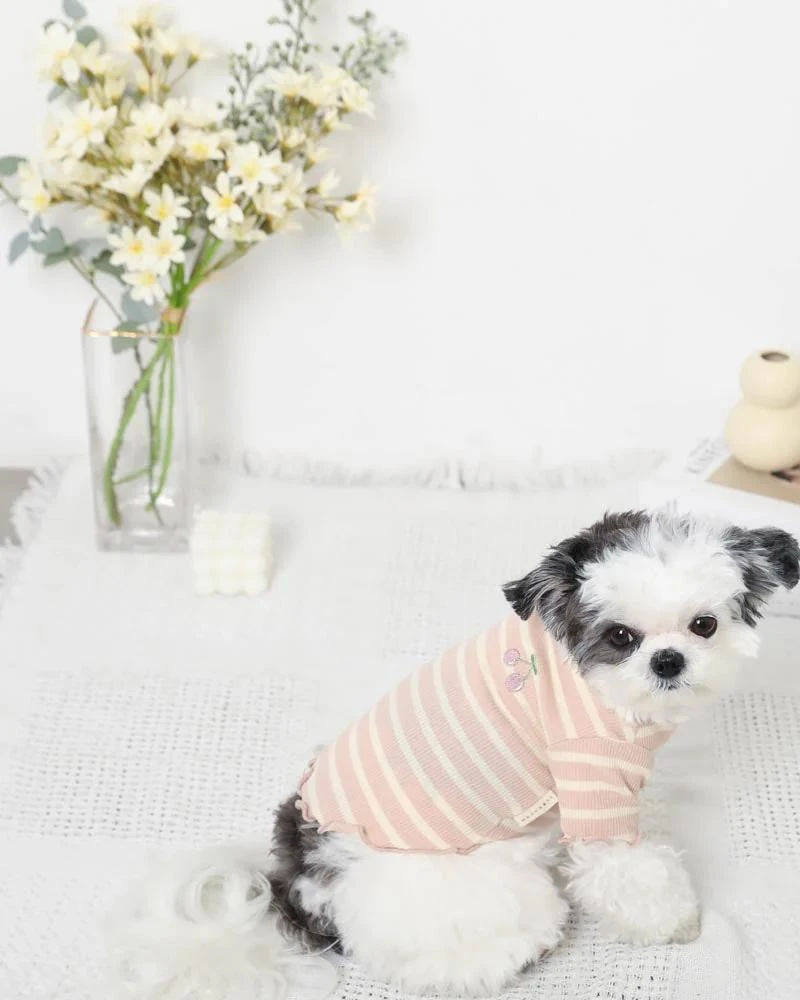 MONCHERI Ribbed Fruit Dog T-Shirts In Cherry Or Pineapple 6 MONCHERI Ribbed Fruit Dog T-Shirts In Cherry Or Pineapple - Image 6