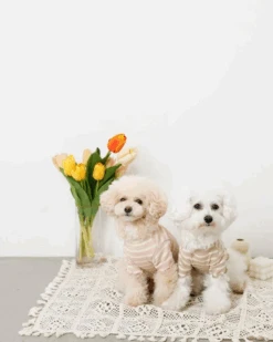 MONCHERI Ribbed Fruit Dog T-Shirts In Cherry Or Pineapple 14 MONCHERI Ribbed Fruit Dog T-Shirts In Cherry Or Pineapple -Pet Sale Shop 55 8c7633f8 daff 4b75 928e 1049b8f22756