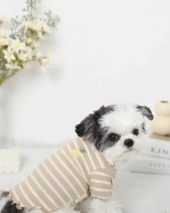 MONCHERI Ribbed Fruit Dog T-Shirts In Cherry Or Pineapple 15 MONCHERI Ribbed Fruit Dog T-Shirts In Cherry Or Pineapple -Pet Sale Shop 56 ee4aaf61 d86e 470a 8090 a3c0cfef7365