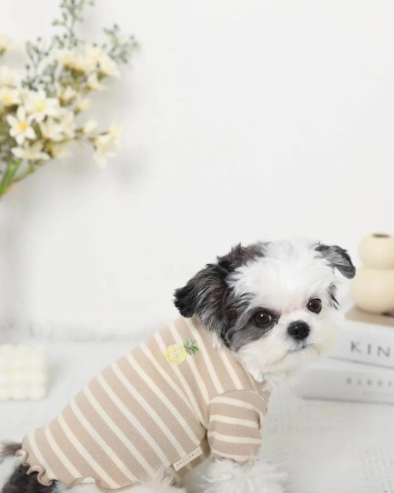 MONCHERI Ribbed Fruit Dog T-Shirts In Cherry Or Pineapple 8 MONCHERI Ribbed Fruit Dog T-Shirts In Cherry Or Pineapple - Image 8