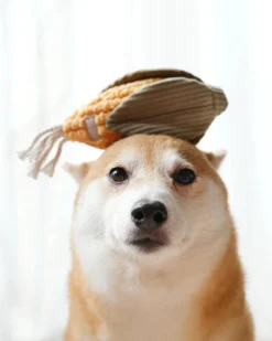 LAMBWOLF COLLECTIVE Farmer's Market Enrichment Toy Set 12 LAMBWOLF COLLECTIVE Farmer's Market Enrichment Toy Set -Pet Sale Shop 57 b91700dc c1ca 4001 b253 3d7189b8063c