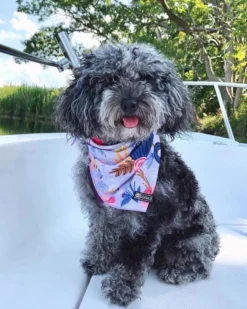 DOODLE PET DESIGN Cooling Dog Bandana In Bloom -Pet Sale Shop 5 24d895fa 0f79 44c2 ad33 4fe4c7446974
