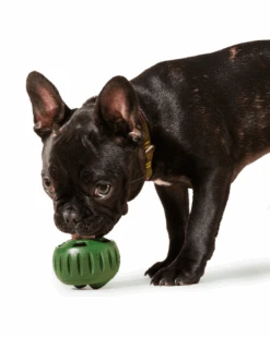 WOOF The Pupsicle Enrichment Dog Toy -Pet Sale Shop 5 37e88a6a a18b 4c53 83c2 2b128575ded7