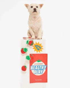 THE FURRYFOLKS Cherry Tomato Nose Work & Tug Dog Toy 16 THE FURRYFOLKS Cherry Tomato Nose Work & Tug Dog Toy -Pet Sale Shop 5 38b0636a b75e 424c 9b8f 74478f8653db