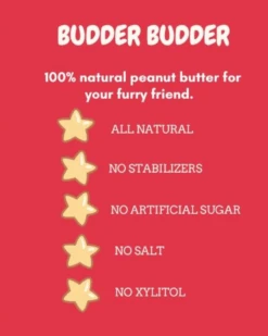 BISTRO Beggin Bacon Buddy Peanut Butter For Dogs 12 BISTRO Beggin Bacon Buddy Peanut Butter For Dogs -Pet Sale Shop 5 3f892ae6 3f23 4279 a053 0a42322379bd