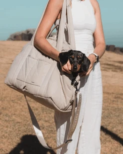 FUZZYARD Multipurpose Carrier & Car Seat 25 FUZZYARD Multipurpose Carrier & Car Seat -Pet Sale Shop 5 3fca55a2 ce53 46b0 a03c aa754a8ab7ac