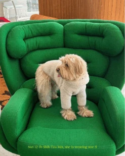 LITTLE BEAST The Pablo Fleece Dog Sweatshirt -Pet Sale Shop 5 417f5dba 1464 4d4a 8f7d 8a808149406e